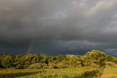 2020 'de gökyüzünde bir kasırga.