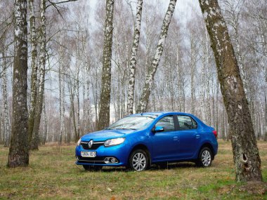 Gomel, Belarus - 22 Mart 2020: Bir huş ağacında mavi Renault ROGAN yolcu vagonu. Ülke Tatili 2020