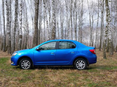 Gomel, Belarus - 22 Mart 2020: Bir huş ağacında mavi Renault ROGAN yolcu vagonu. Ülke Tatili 2020