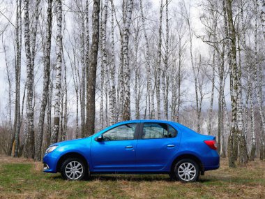 Gomel, Belarus - 22 Mart 2020: Bir huş ağacında mavi Renault ROGAN yolcu vagonu. Ülke Tatili 2020