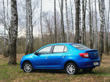Gomel, Belarus - 22 Mart 2020: Bir huş ağacında mavi Renault ROGAN yolcu vagonu. Ülke Tatili 2020