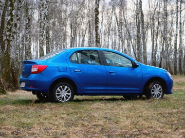 Gomel, Belarus - 22 Mart 2020: Bir huş ağacında mavi Renault ROGAN yolcu vagonu. Ülke Tatili 2020