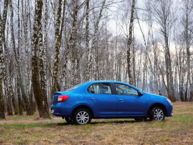 Gomel, Belarus - 22 Mart 2020: Bir huş ağacında mavi Renault ROGAN yolcu vagonu. Ülke Tatili 2020