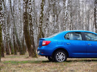 Gomel, Belarus - 22 Mart 2020: Bir huş ağacında mavi Renault ROGAN yolcu vagonu. Ülke Tatili 2020
