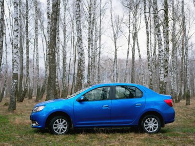 Gomel, Belarus - 22 Mart 2020: Bir huş ağacında mavi Renault ROGAN yolcu vagonu. Ülke Tatili 2020