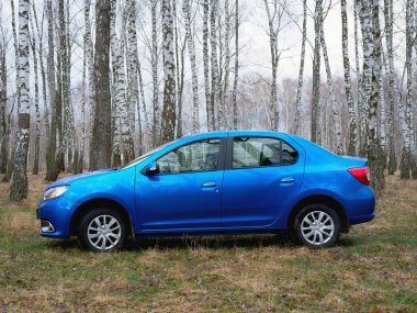 Gomel, Belarus - 22 Mart 2020: Bir huş ağacında mavi Renault ROGAN yolcu vagonu. Ülke Tatili 2020