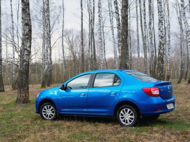 Gomel, Belarus - 22 Mart 2020: Bir huş ağacında mavi Renault ROGAN yolcu vagonu. Ülke Tatili 2020