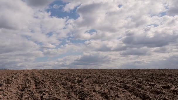 Nubes flotando en el cielo azul sobre un campo fértil arado en primavera — Vídeos de Stock