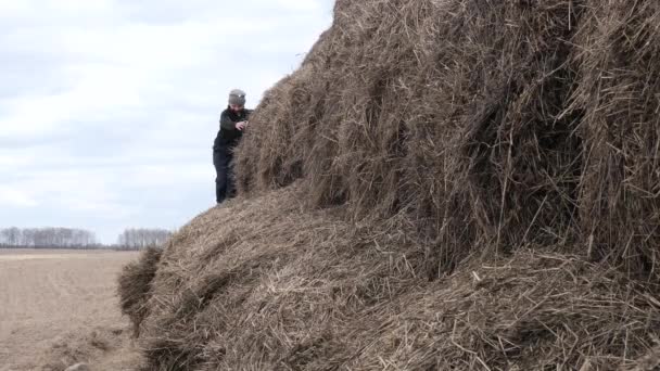 Enfant jouer avec une pile de paille contre le ciel — Video