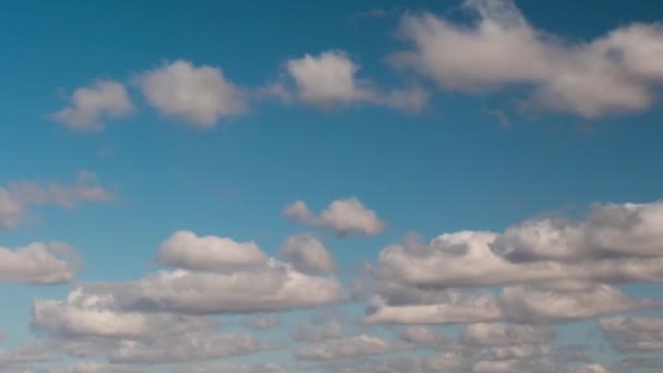 Clouds Swiftly Swim Blue Sky Day — Stock Video