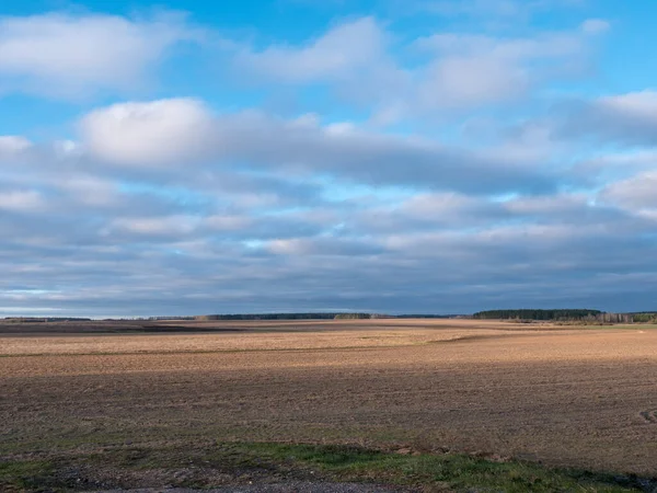 Wolken Schweben Über Einem Feld Mit Getreide Morgengrauen 2020 — Stockfoto
