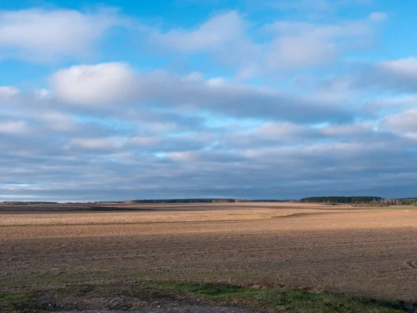 Nuages Flottant Dessus Champ Avec Des Cultures Aube 2020 — Photo