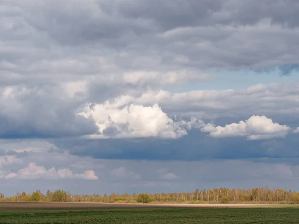 Horizonte Panorâmico Primavera Campo Verde Semeado Contra Céu Com Nuvens — Fotografia de Stock