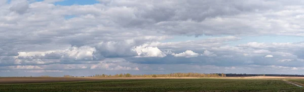 パノラマ水平線春の緑のフィールドは雲2020で空に向かって播種 — ストック写真
