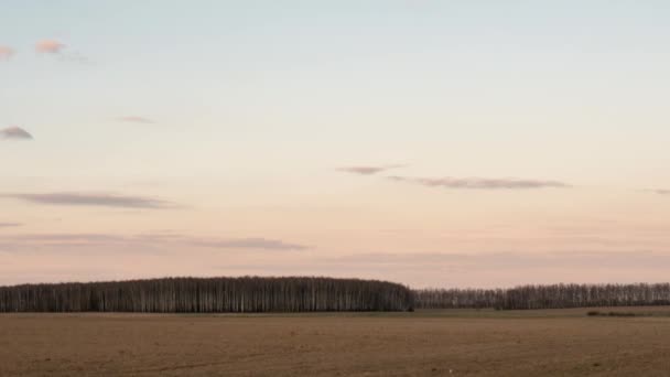 Wolken schweben im Morgengrauen über einem Feld mit Getreide — Stockvideo