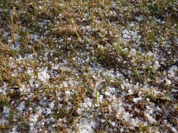 Hail Ice Balls Green Grass Spring 2020 — Stock Photo, Image
