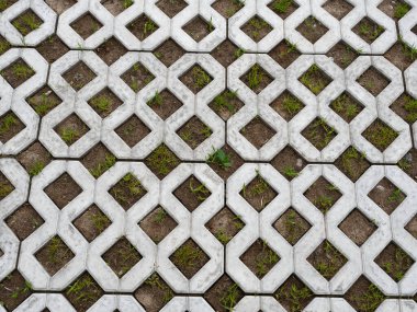 2020 yeşil çimenli asfalt ızgara.