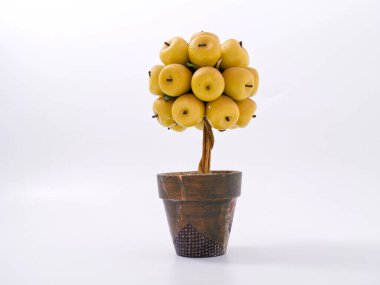 Çiçek saksısında elma ağacı. tasarım 2020