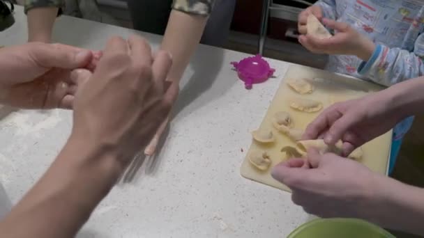 Family Makes Dumplings Dough Meat — Stock Video