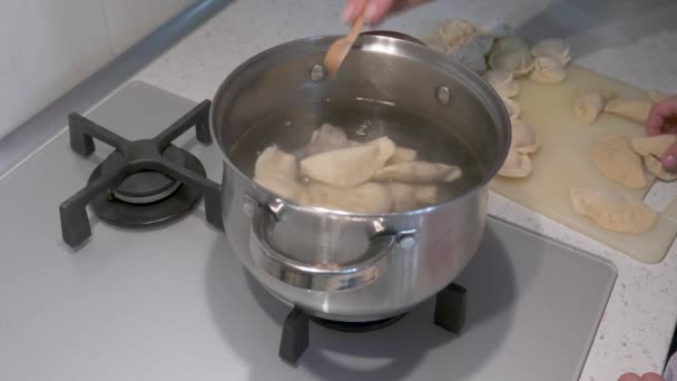 Family Makes Dumplings Dough Meat — Stock Video