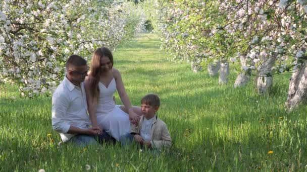 Familie Mit Kind Blühenden Apfelbäumen Garten 2020 — Stockvideo