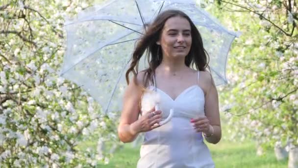 Ragazza con un ombrello bianco in fiore meli in giardino — Video Stock