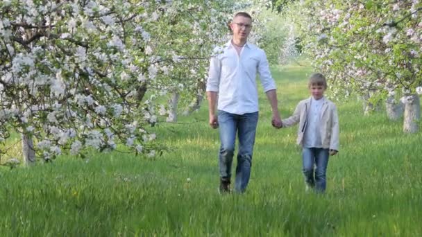 Father and son at blooming apple trees in the garden — Stock Video