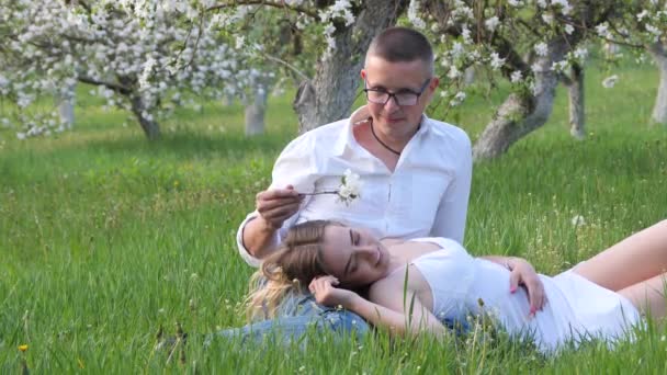 Young Guy Girl Blooming Apple Trees Garden — Stock Video