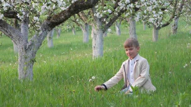 Pojke Gräset Nära Blommande Äppelträd Trädgården 2020 — Stockvideo