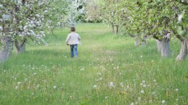2020 'de bahçede çimlerin üzerinde çiçek açan elma ağaçlarının yanında bir çocuk.