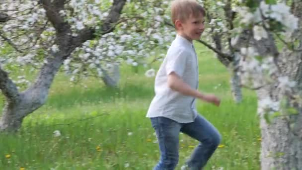 Αγόρι Στο Γρασίδι Κοντά Ανθισμένες Μηλιές Στον Κήπο 2020 — Αρχείο Βίντεο