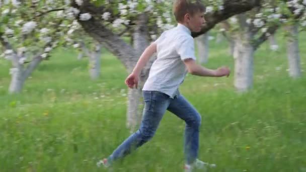 男孩在草坪上靠近盛开的苹果树的地方 — 图库视频影像