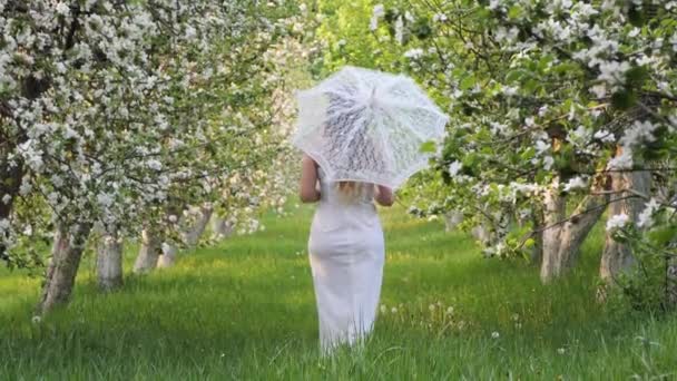 在2020年的花园里 一个拿着白色雨伞在开花的苹果树中的女孩 — 图库视频影像