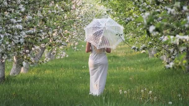 庭でリンゴの木を咲かせている白い傘の女の子 — ストック動画