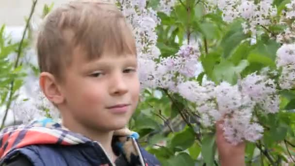 Doğadaki Bir Çocuğun Yakın Plan Portresi — Stok video