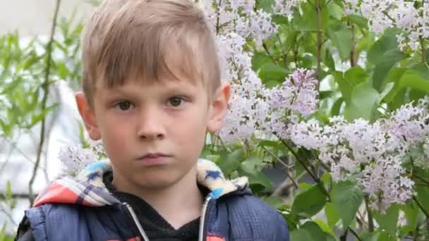 Nahaufnahme Porträt Eines Jungen Der Natur — Stockvideo