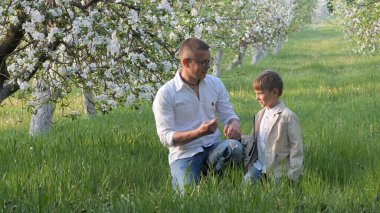 baba ve oğul bahçede çiçek açan elma ağaçlarında 2020