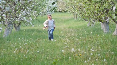 2020 'de bahçede çimlerin üzerinde çiçek açan elma ağaçlarının yanında bir çocuk.