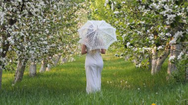 2020 bahçesinde çiçek açan elma ağaçlarında beyaz şemsiyeli bir kız.