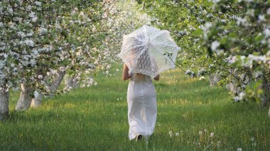 2020 bahçesinde çiçek açan elma ağaçlarında beyaz şemsiyeli bir kız.