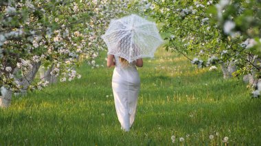 2020 bahçesinde çiçek açan elma ağaçlarında beyaz şemsiyeli bir kız.