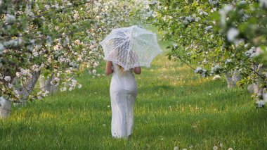 2020 bahçesinde çiçek açan elma ağaçlarında beyaz şemsiyeli bir kız.