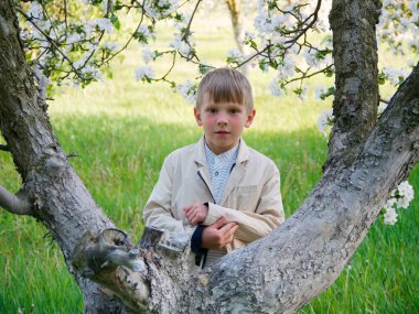 2020 'de bahçede çimlerin üzerinde çiçek açan elma ağaçlarının yanında bir çocuk.