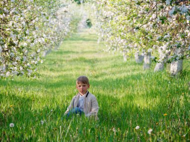 2020 'de bahçede çimlerin üzerinde çiçek açan elma ağaçlarının yanında bir çocuk.