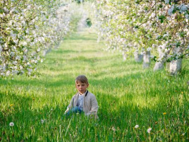2020 'de bahçede çimlerin üzerinde çiçek açan elma ağaçlarının yanında bir çocuk.