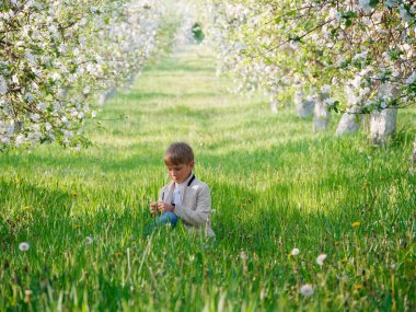 2020 'de bahçede çimlerin üzerinde çiçek açan elma ağaçlarının yanında bir çocuk.