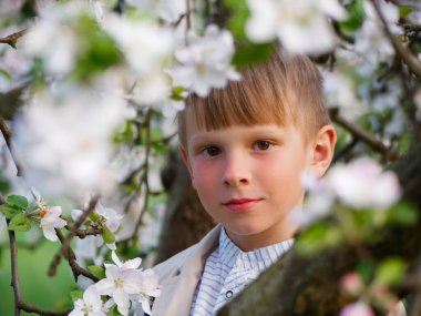 2020 'de bahçede çimlerin üzerinde çiçek açan elma ağaçlarının yanında bir çocuk.
