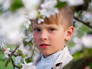 2020 'de bahçede çimlerin üzerinde çiçek açan elma ağaçlarının yanında bir çocuk.