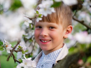 2020 'de bahçede çimlerin üzerinde çiçek açan elma ağaçlarının yanında bir çocuk.