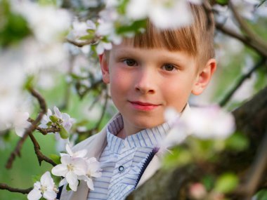 2020 'de bahçede çimlerin üzerinde çiçek açan elma ağaçlarının yanında bir çocuk.